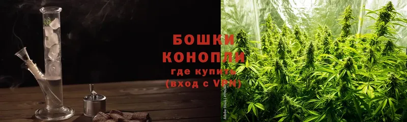 Каннабис SATIVA & INDICA  где можно купить   Мурино 